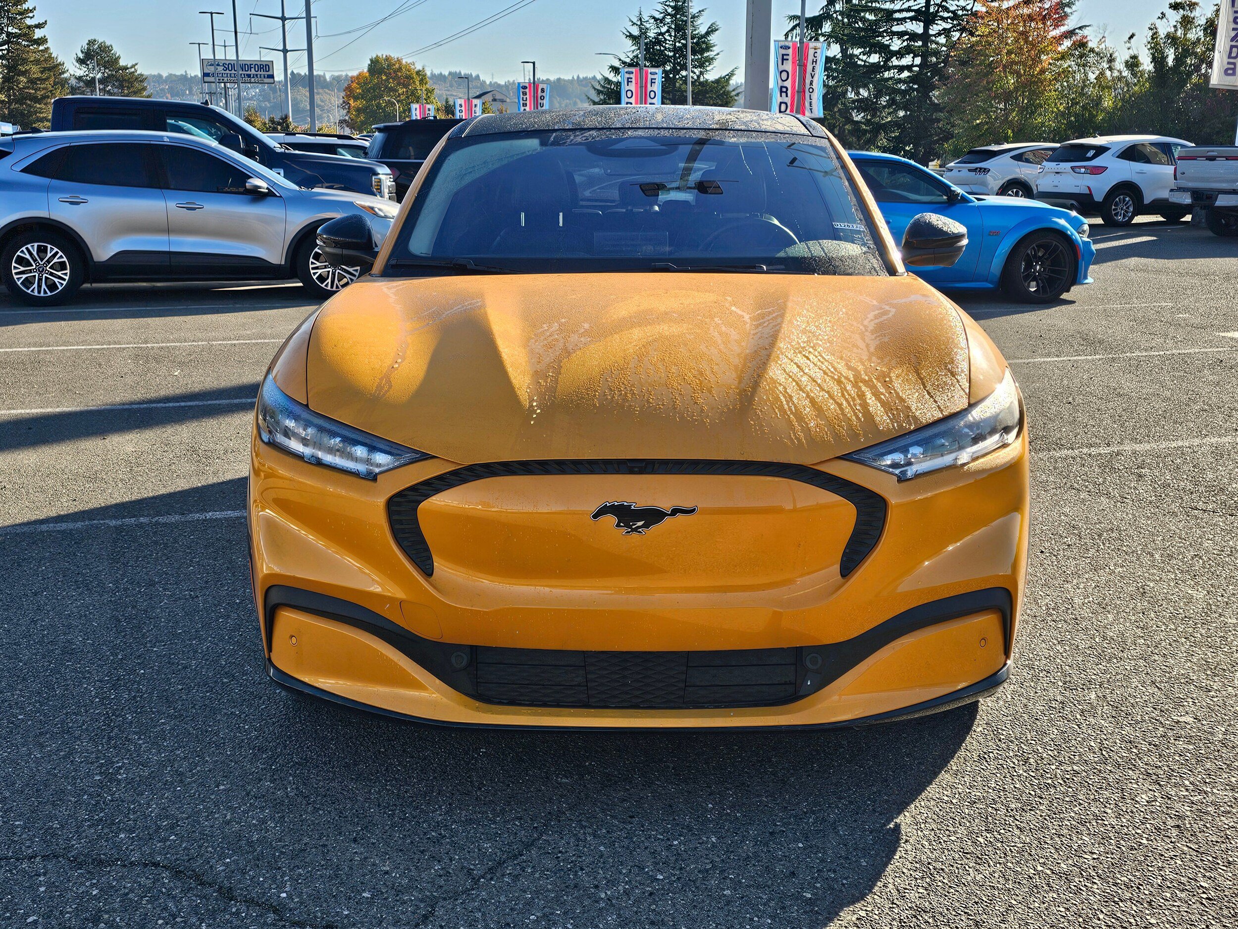Used 2023 Ford Mustang Mach-E California Route 1 AWD/4WD image 2