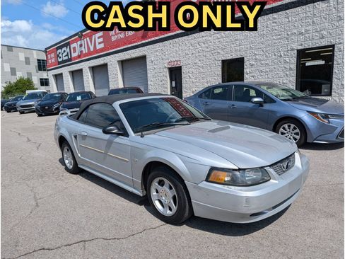 Used 2003 Ford Mustang Convertible RWD image 1