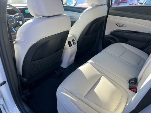 New 2026 Hyundai Tucson Limited AWD/4WD image 14