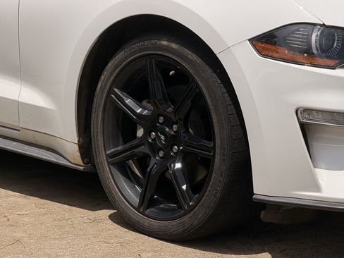 Used 2019 Ford Mustang Coupe w/ Equipment Group 101A RWD image 3