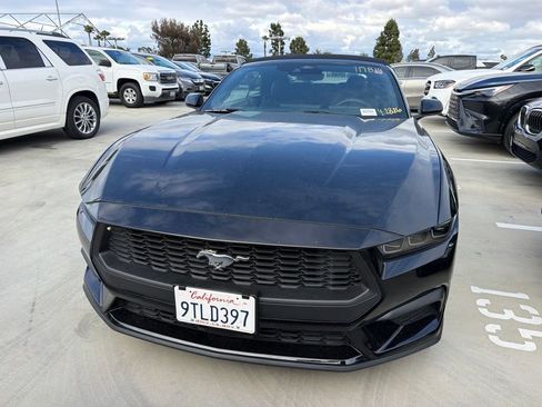 Used 2025 Ford Mustang Convertible RWD image 1