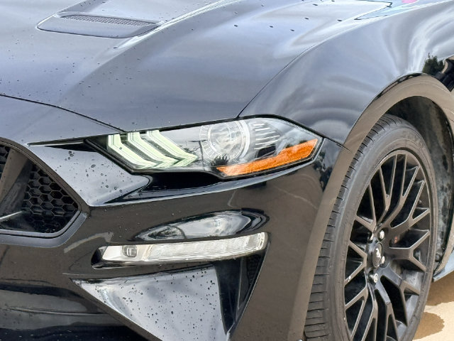 Used 2018 Ford Mustang GT Premium w/ GT Performance Package RWD image 12