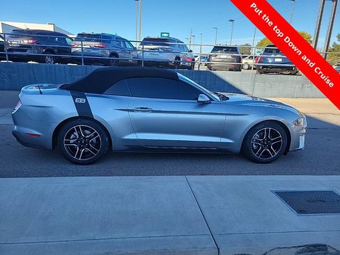 Used 2021 Ford Mustang Premium image 8