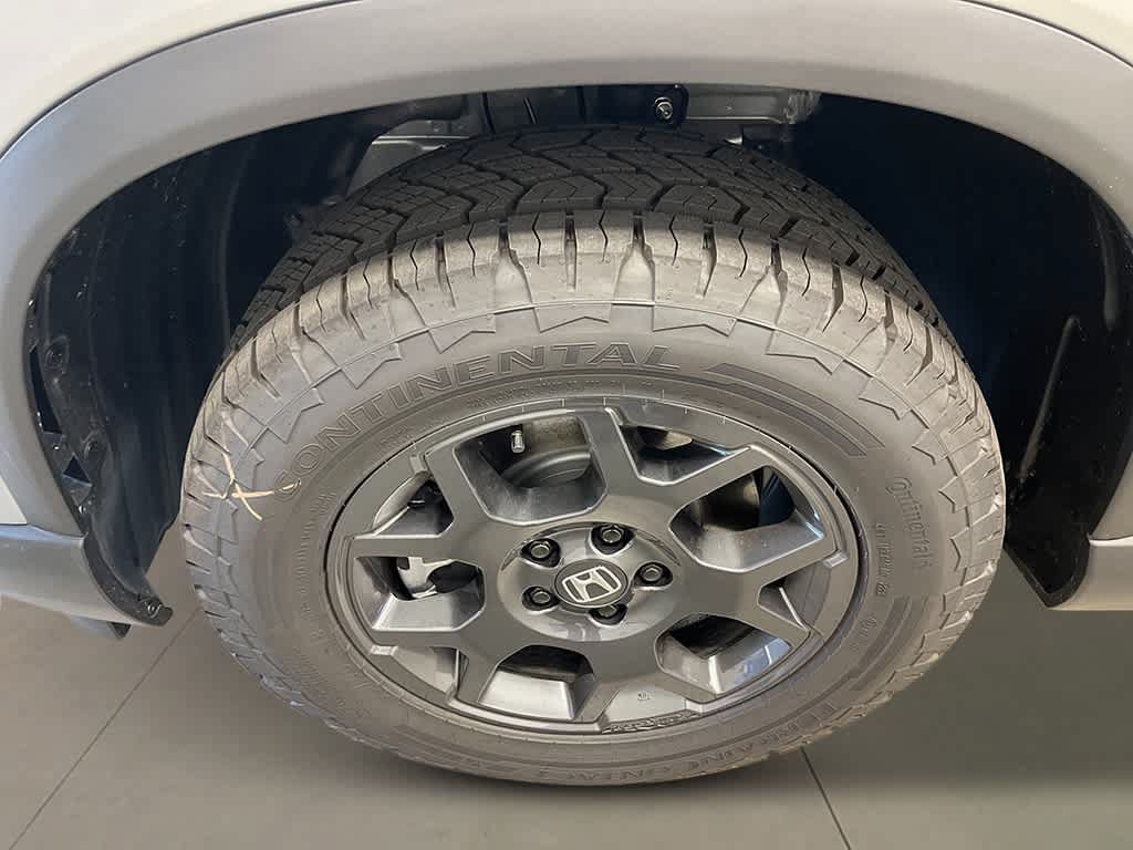 New 2026 Honda Pilot TrailSport image 11