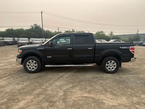 Used 2013 Ford F150 XLT w/ XLT Chrome Pkg AWD/4WD image 12