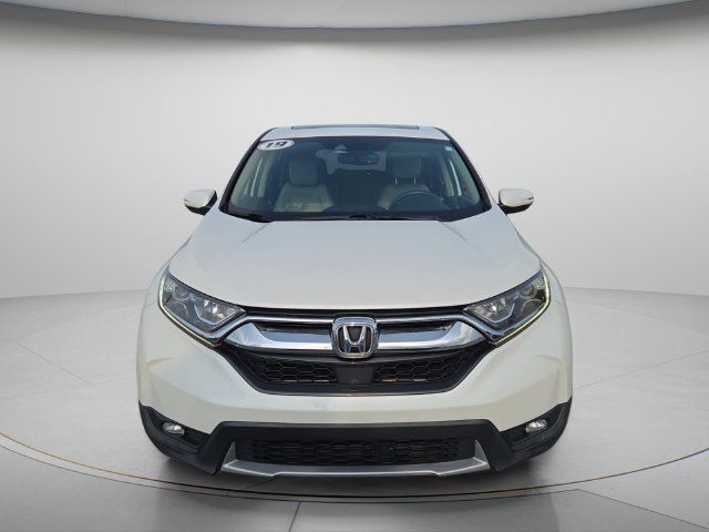 Used 2019 Honda CR-V EX-L image 4