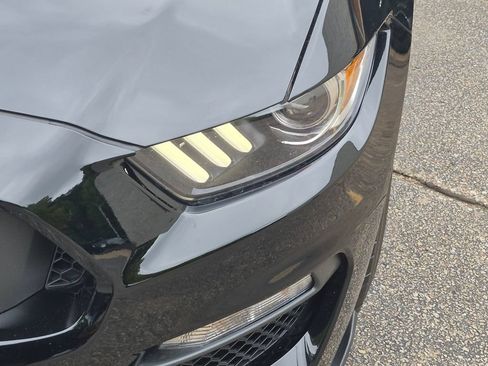 Used 2017 Ford Mustang Shelby GT350 RWD image 9
