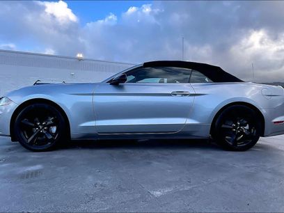 Certified 2023 Ford Mustang Convertible w/ Mustang Nite Pony Package