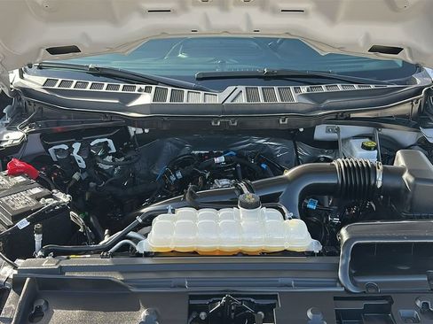 Used 2025 Ford F150 XLT w/ Equipment Group 301A Standard AWD/4WD image 3