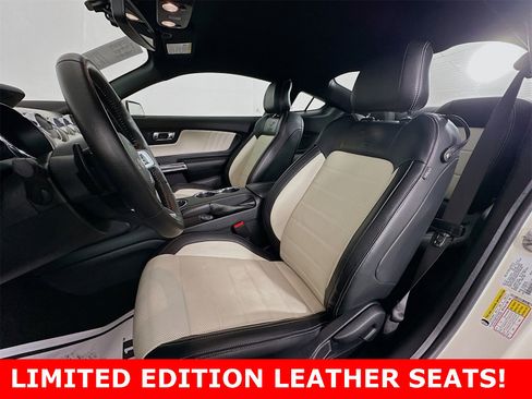 Used 2015 Ford Mustang 50 Years image 10