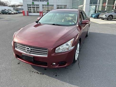 Used 2010 Nissan Maxima 3.5 SV w/ Cold Pkg image 19