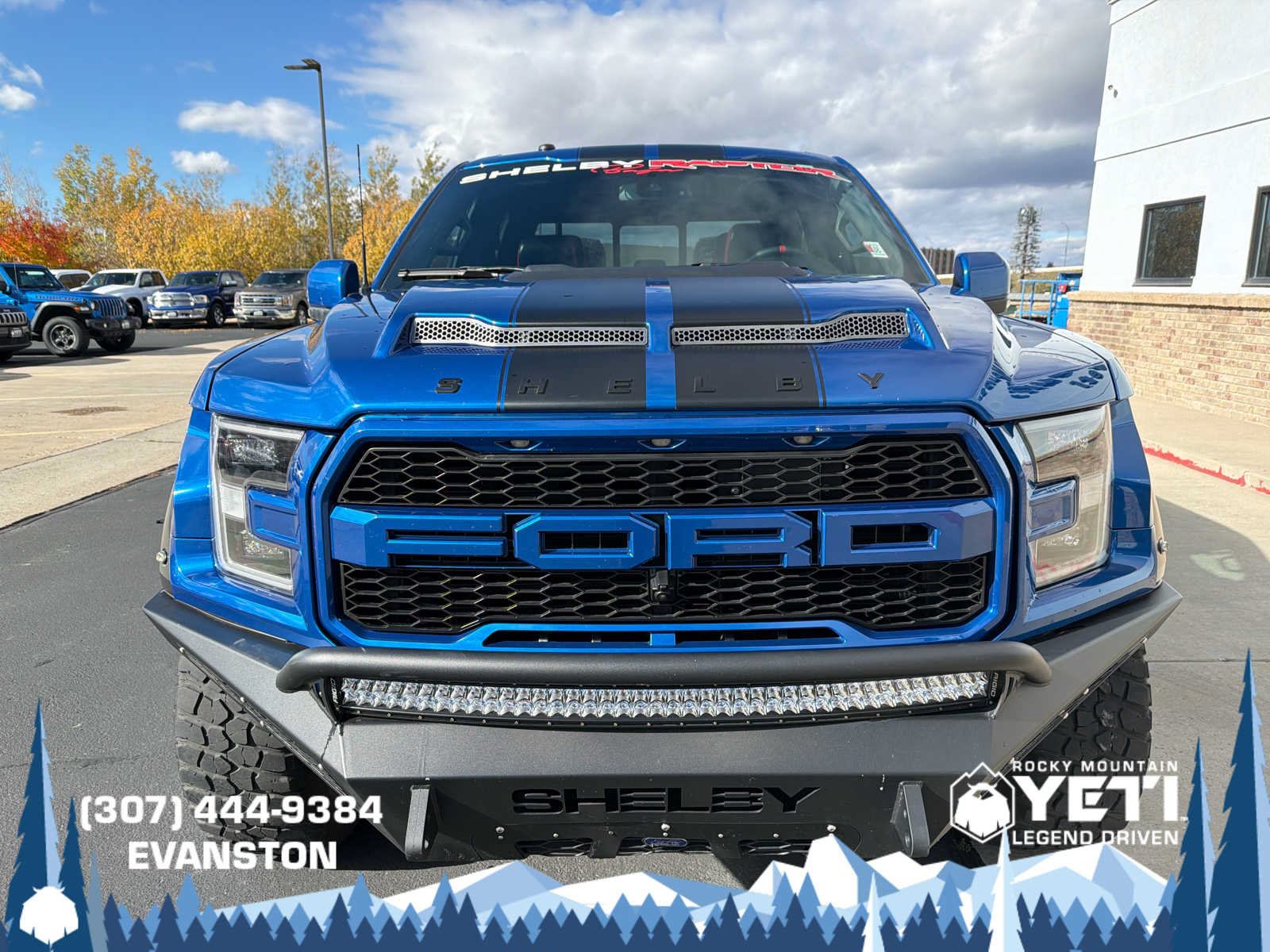 Used 2018 Ford F150 Raptor w/ Equipment Group 802A Luxury AWD/4WD image 8