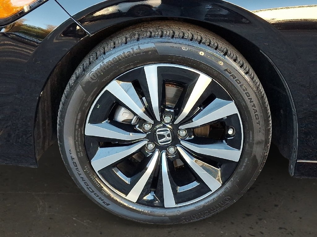 Used 2024 Honda Civic EX-L image 10