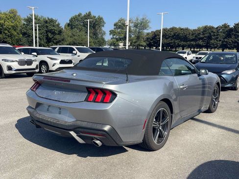 Used 2025 Ford Mustang Premium RWD image 3