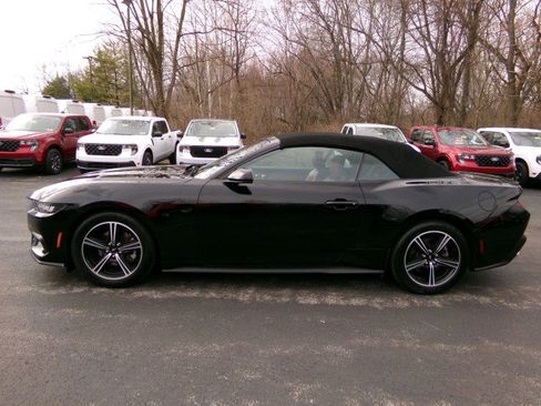 Used 2024 Ford Mustang Premium image 6