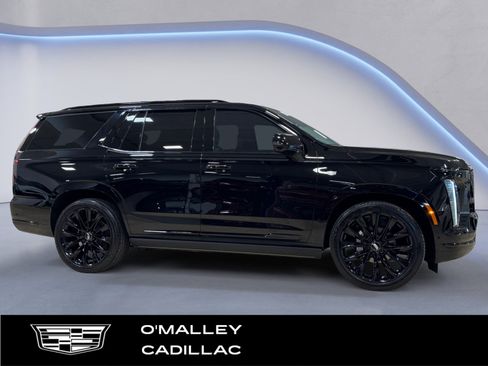 Certified 2025 Cadillac Escalade Sport Platinum w/ LPO, ONYX Package image 6