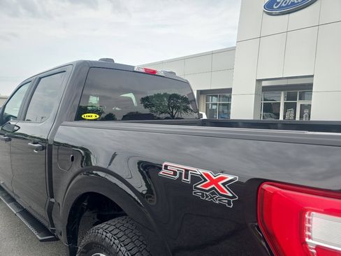 Used 2021 Ford F150 XL w/ STX Appearance Package AWD/4WD image 11