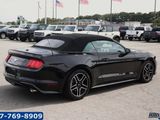 Used 2018 Ford Mustang Premium image 5
