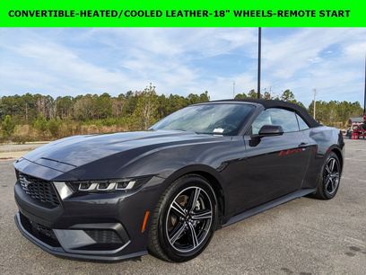 Used 2024 Ford Mustang Premium