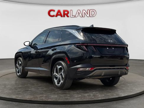 Used 2023 Hyundai Tucson Limited w/ Cargo Package AWD/4WD image 4