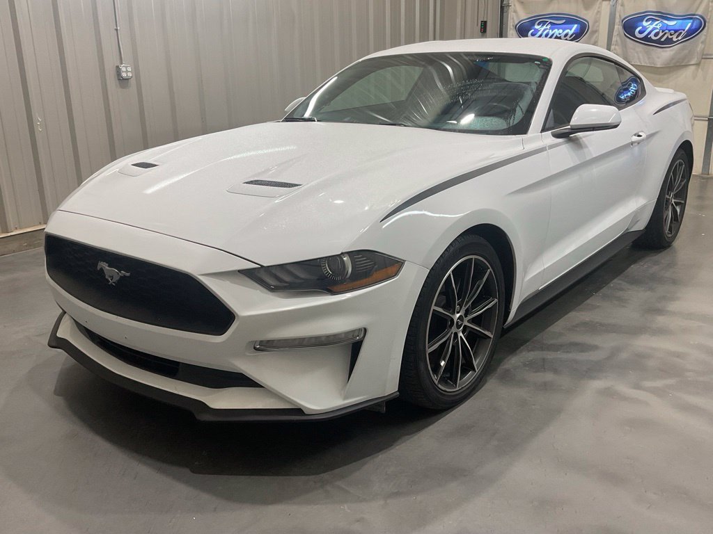 Used 2019 Ford Mustang Coupe w/ Equipment Group 101A RWD image 5