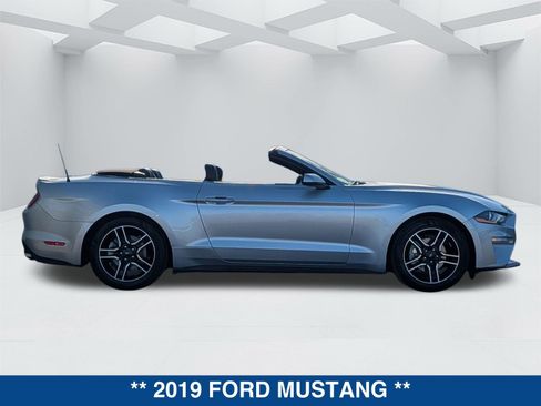 Certified 2019 Ford Mustang Premium image 3