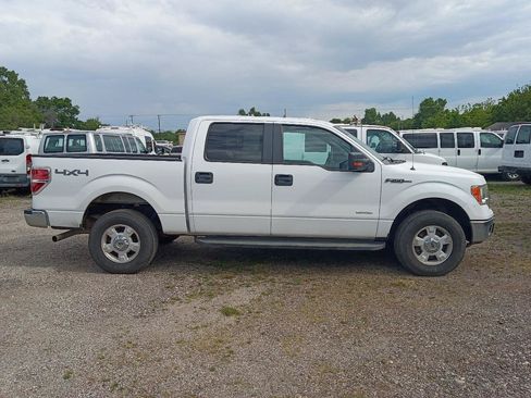 Used 2014 Ford F150 XLT w/ XLT Convenience Package AWD/4WD image 4