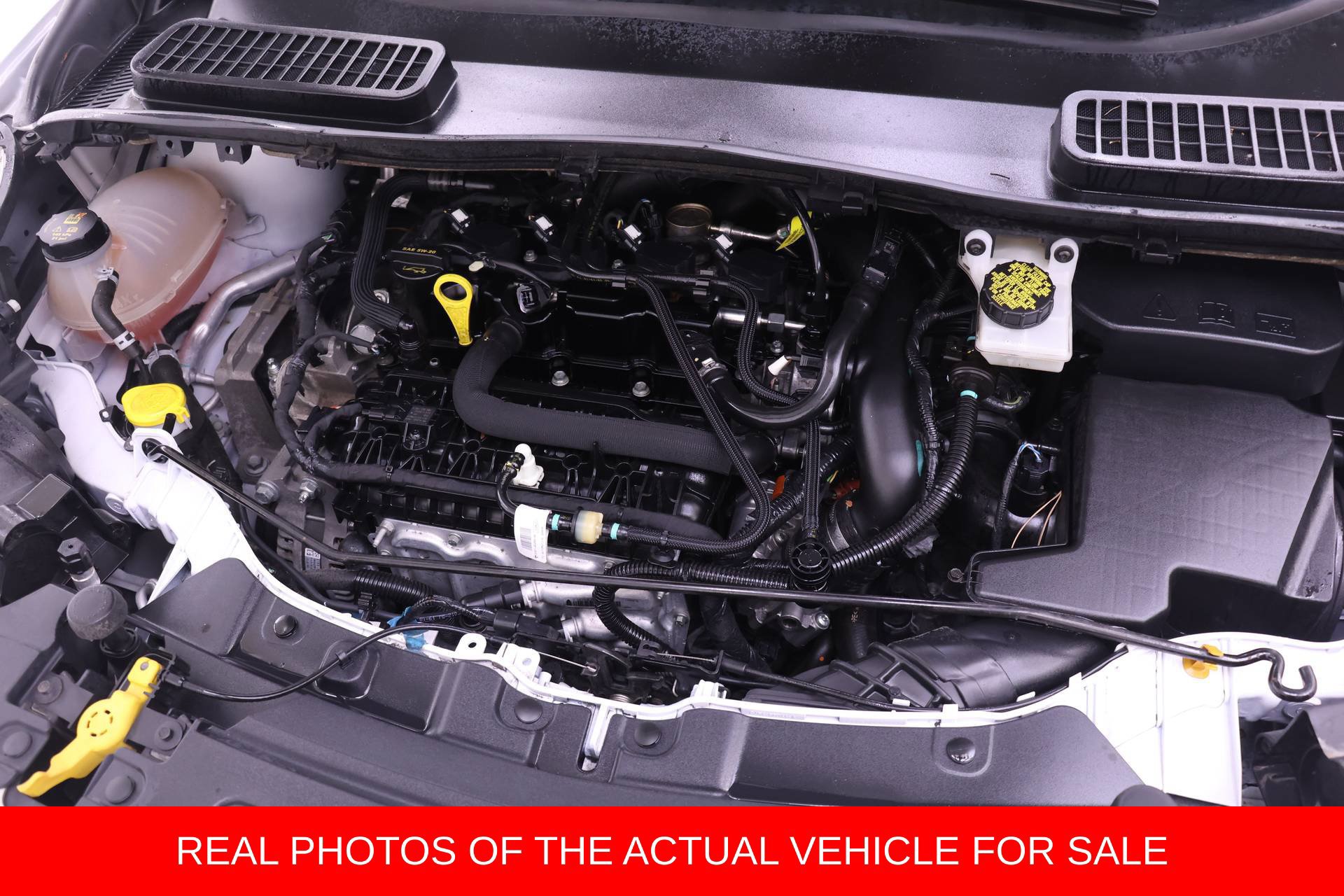 Used 2019 Ford Escape SE FWD image 17