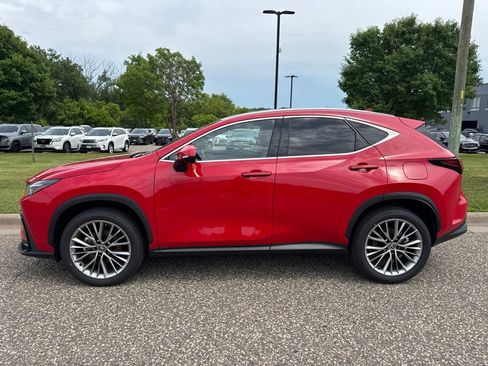 Used 2025 Lexus NX 350h AWD w/ Cold Area Package image 5