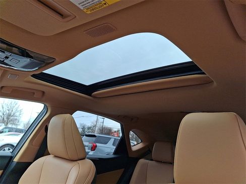 Used 2025 Lexus NX 350 AWD w/ Premium Package image 15