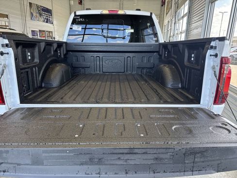 New 2025 Ford F150 XLT w/ Equipment Group 303A High image 20