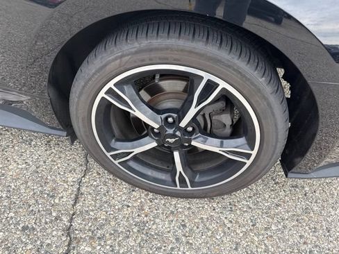 Used 2016 Ford Mustang GT Premium w/ Equipment Group 401A RWD image 9