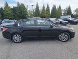 Used 2011 Honda Accord EX-L image 5