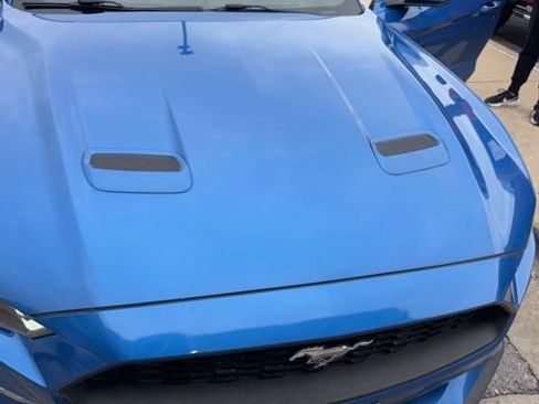 Used 2019 Ford Mustang Coupe w/ Equipment Group 101A RWD image 5