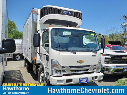 New 2024 Chevrolet Low Cab Forward 5500XD