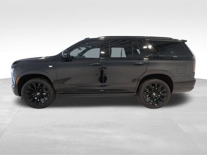 Used 2026 Cadillac Escalade Platinum Sport