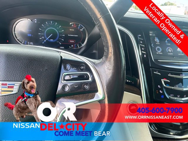 Used 2019 Cadillac Escalade Premium Luxury AWD/4WD image 22