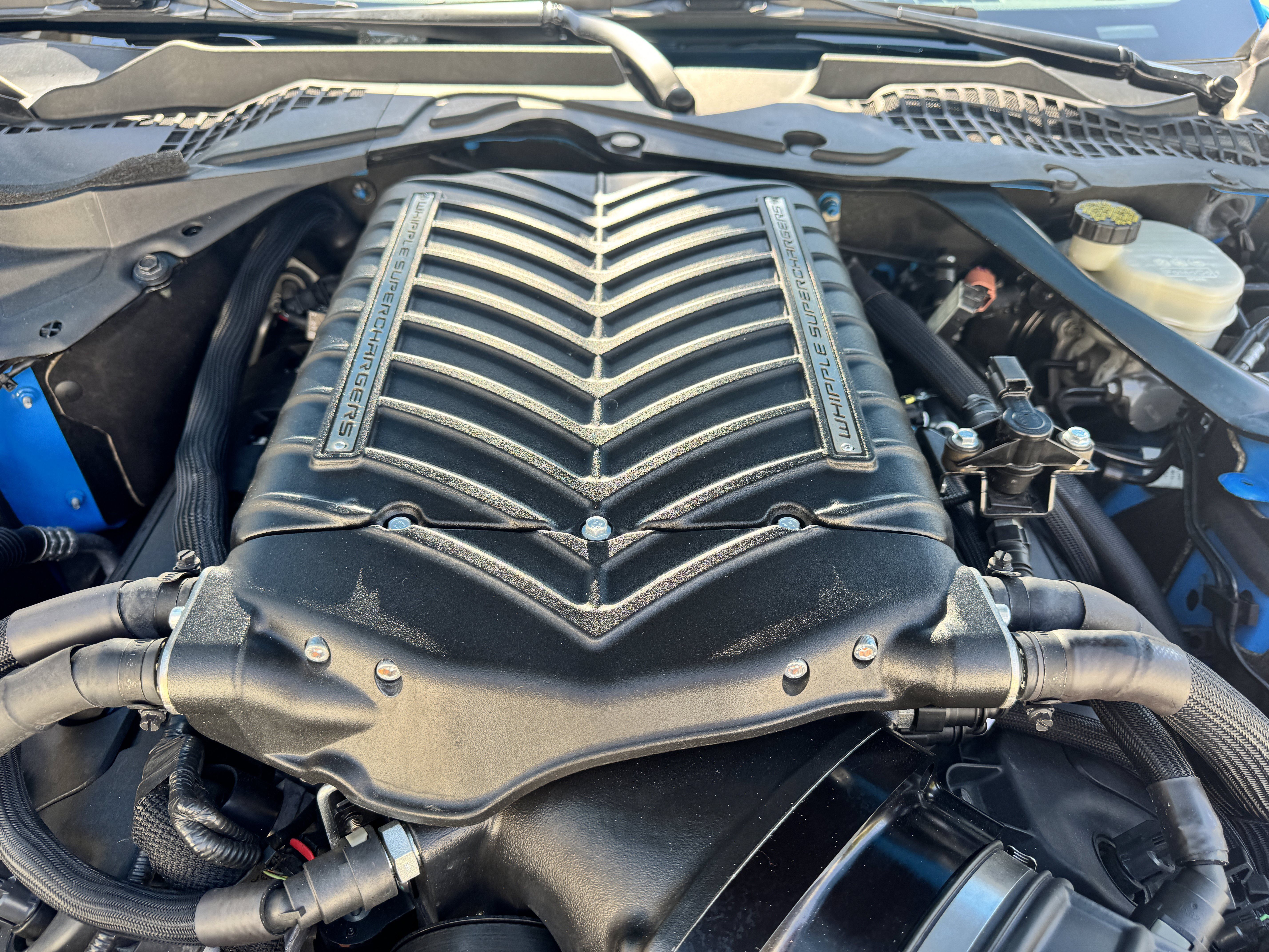 Used 2017 Ford Mustang Shelby GT350 RWD image 24