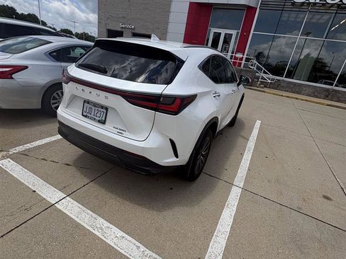 Used 2024 Lexus NX 350 AWD w/ Cold Area Package image 4
