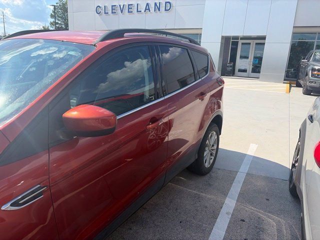 Used 2019 Ford Escape SEL AWD/4WD image 2