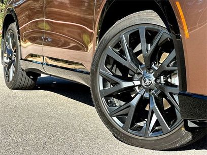 New 2025 Toyota Crown Signia