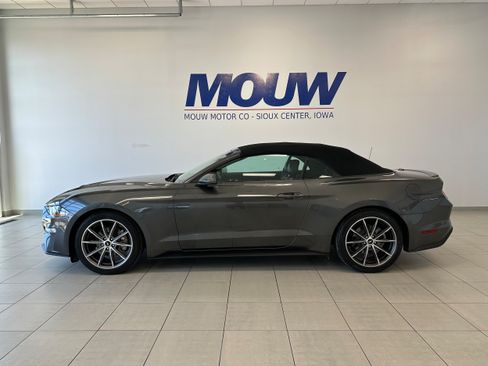 Used 2019 Ford Mustang Premium w/ Equipment Group 201A RWD image 1