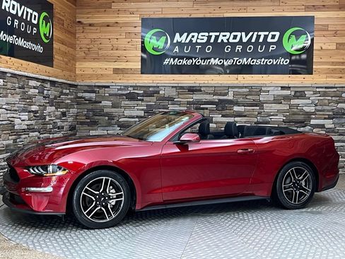 Used 2019 Ford Mustang Convertible w/ Equipment Group 101A RWD image 34