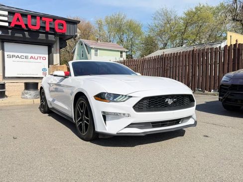 Used 2019 Ford Mustang Premium w/ Equipment Group 201A RWD image 3