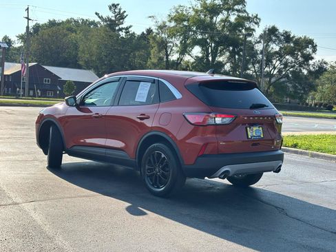 Used 2020 Ford Escape SE AWD/4WD image 6