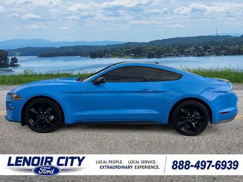 Used 2023 Ford Mustang Coupe w/ Equipment Group 101A RWD image 6