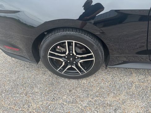 Used 2019 Ford Mustang GT RWD image 20