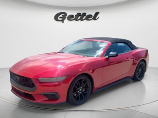 Used 2024 Ford Mustang Premium w/ Mustang Nite Pony Package RWD video 1