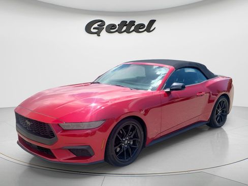 Used 2024 Ford Mustang Premium w/ Mustang Nite Pony Package RWD image 1