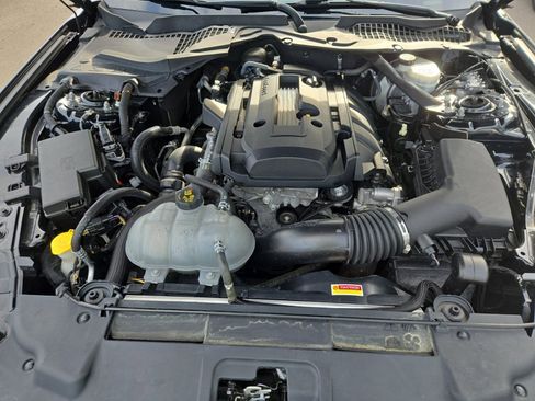 Used 2018 Ford Mustang Premium w/ Equipment Group 201A image 15